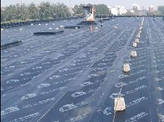 圆梦钱包 - 安全支付工具|专业数字钱包平台