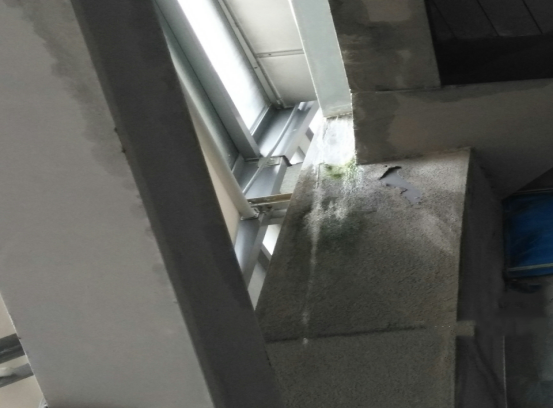 圆梦钱包 - 安全支付工具|专业数字钱包平台