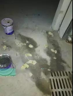 圆梦钱包 - 安全支付工具|专业数字钱包平台