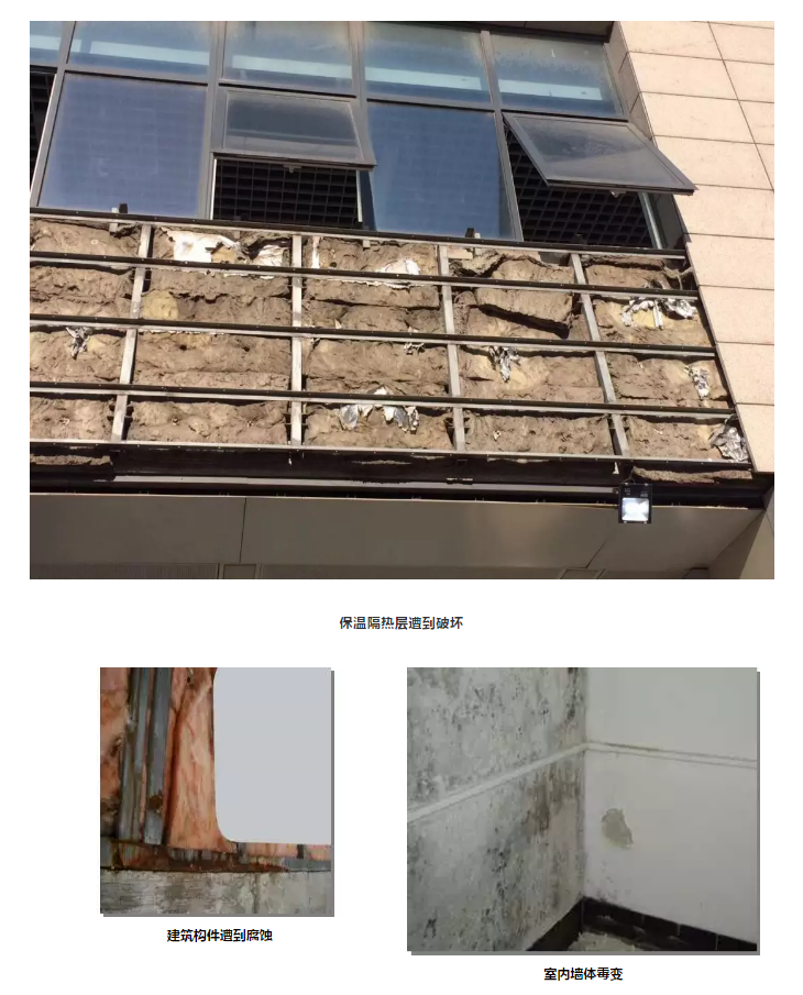 圆梦钱包 - 安全支付工具|专业数字钱包平台