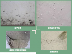 圆梦钱包 - 安全支付工具|专业数字钱包平台