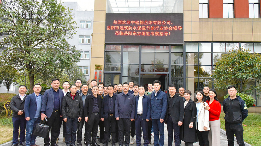 圆梦钱包 - 安全支付工具|专业数字钱包平台