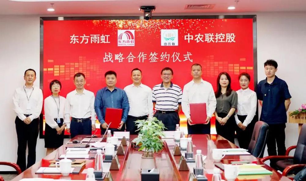 圆梦钱包 - 安全支付工具|专业数字钱包平台
