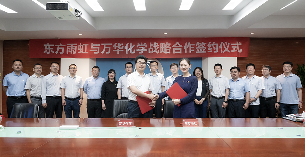 圆梦钱包 - 安全支付工具|专业数字钱包平台