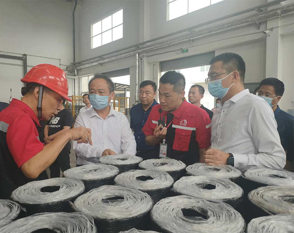 圆梦钱包 - 安全支付工具|专业数字钱包平台