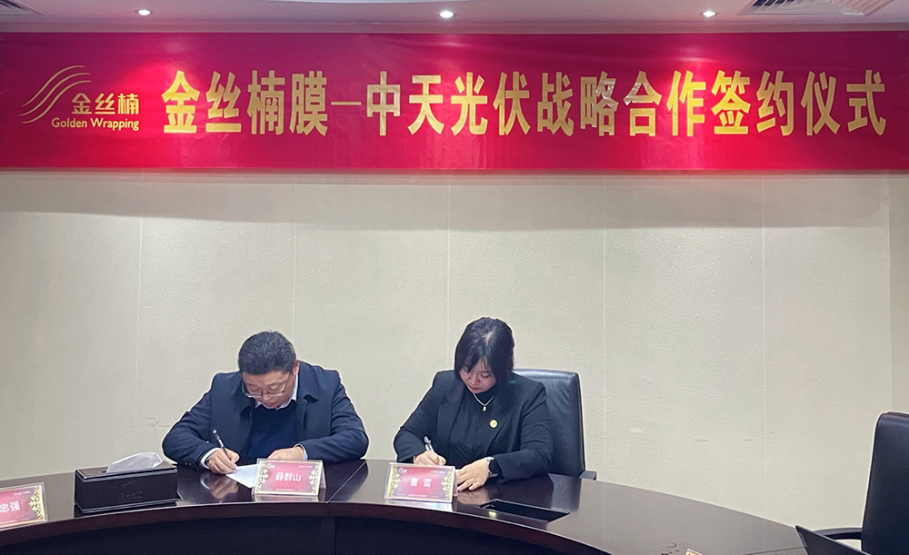 圆梦钱包 - 安全支付工具|专业数字钱包平台
