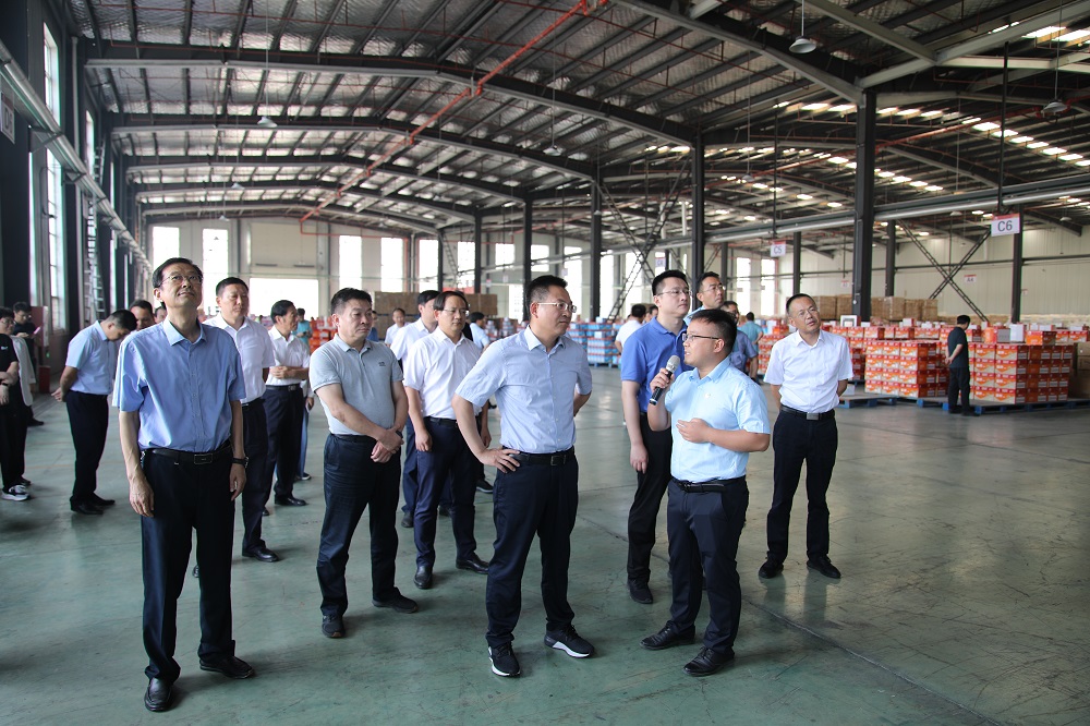 圆梦钱包 - 安全支付工具|专业数字钱包平台