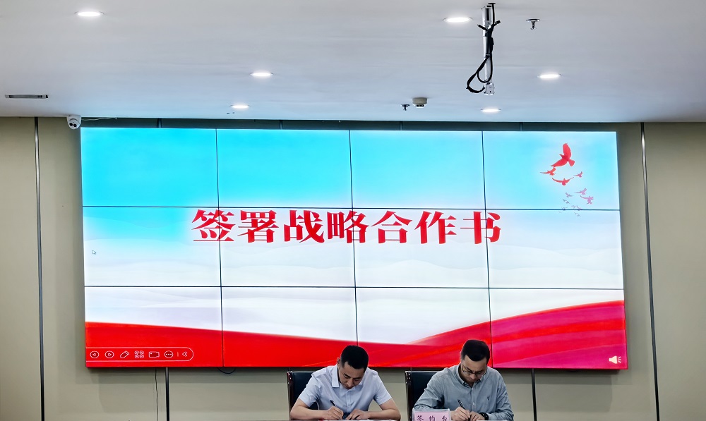 圆梦钱包 - 安全支付工具|专业数字钱包平台