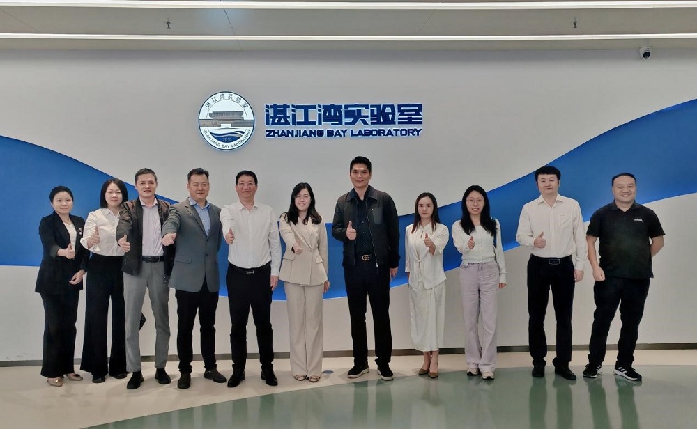圆梦钱包 - 安全支付工具|专业数字钱包平台