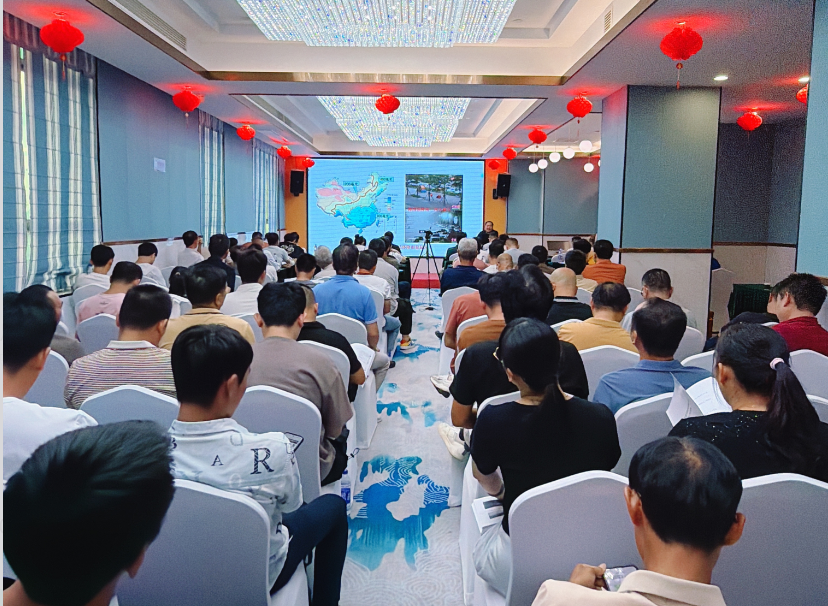 圆梦钱包 - 安全支付工具|专业数字钱包平台